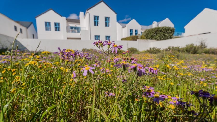 0 Bedroom Property for Sale in Blue Lagoon Western Cape